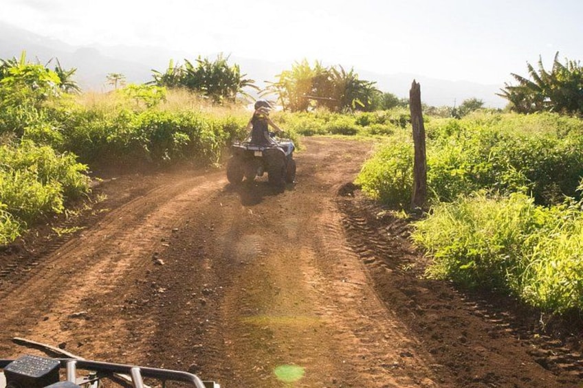 Oahu Beachfront ATV Adventure and Farm Tour 4