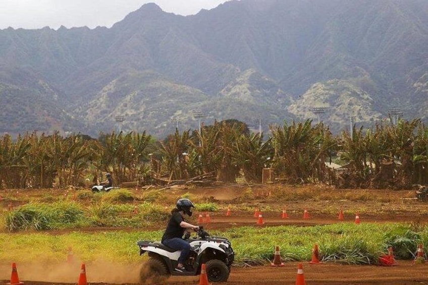 Oahu Beachfront ATV Adventure and Farm Tour 2