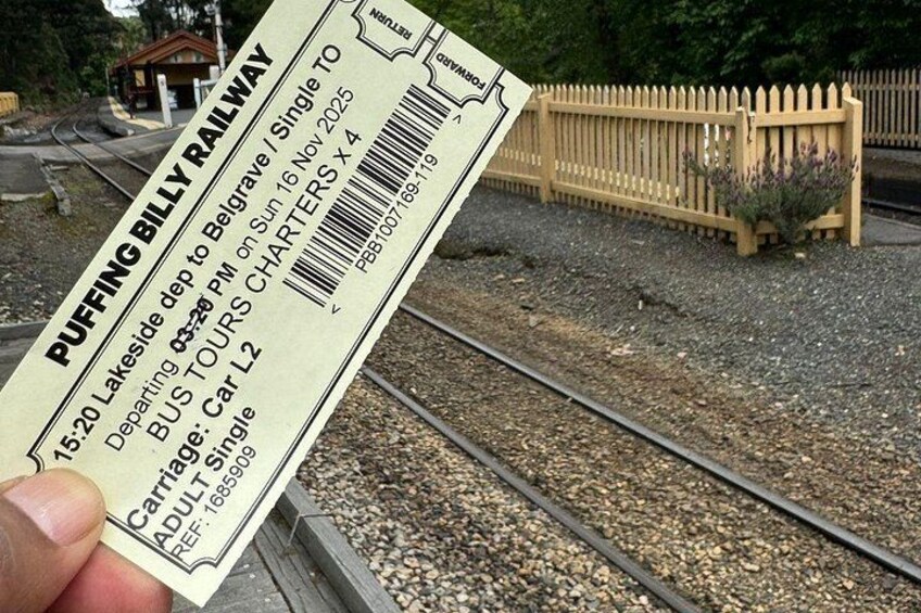 Private Puffing Billy Steam Train and Healesville Sanctuary Tours 3