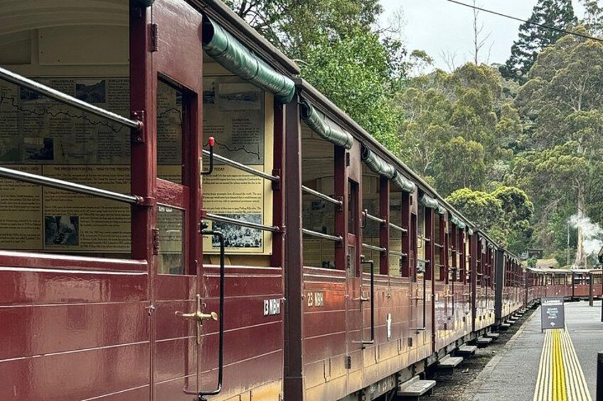 Private Puffing Billy Steam Train and Healesville Sanctuary Tours 4