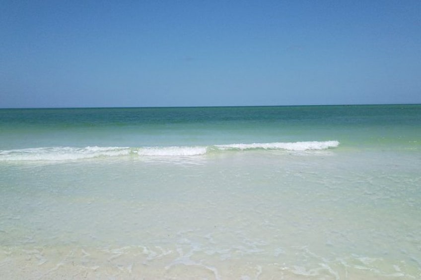 5-Hour Private Clearwater Adventure – Islands & Wildlife 4