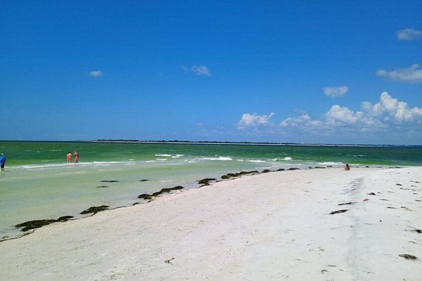 Experience dolphins, sandbars, and sunsets on a private Clearwater boat tour with Captain Clearwater. 3