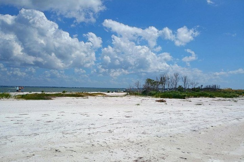 A sandy beach with sparse vegetation and a clear sky. 2