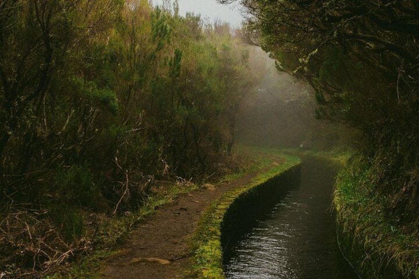 A narrow waterway flanked by dense vegetation and a path. 2