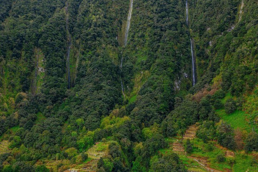 A lush green forest with a waterfall cascading down a steep cliff. 5