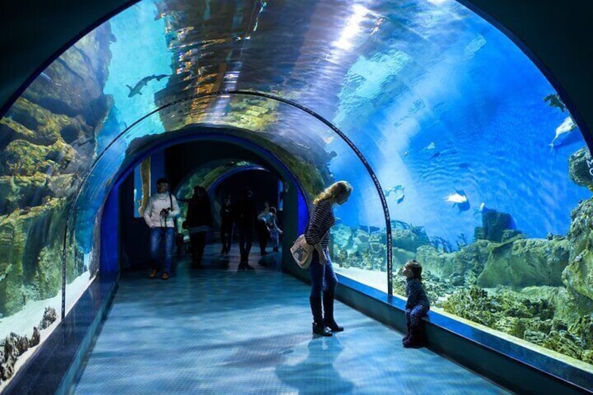 Istanbul Aquarium Adventure with Hotel Transfer 2