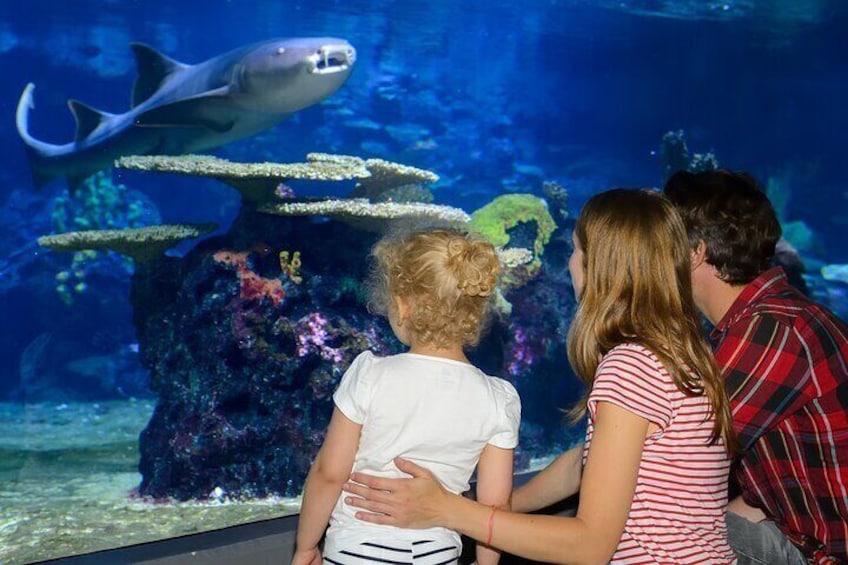 Istanbul Aquarium Adventure with Hotel Transfer 5