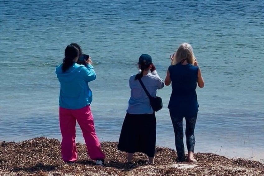 Three people standing by a body of water, one taking a photo. 2