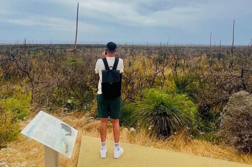 A person standing on a viewing platform, looking at a landscape with sparse vegetation and a clear sky. 3