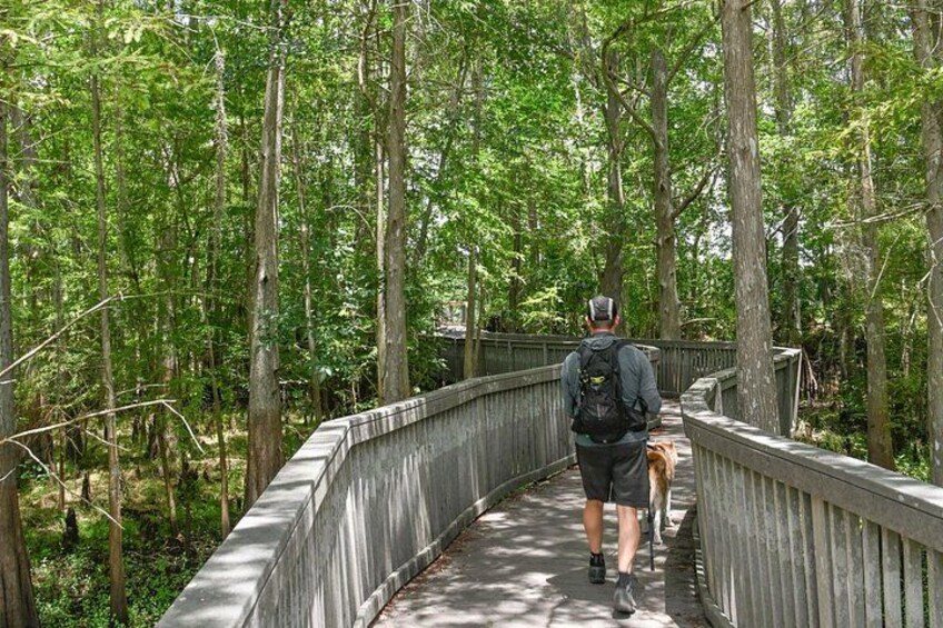 Orlando Wildlife Safari Hike with a Wildlife Photographer 1