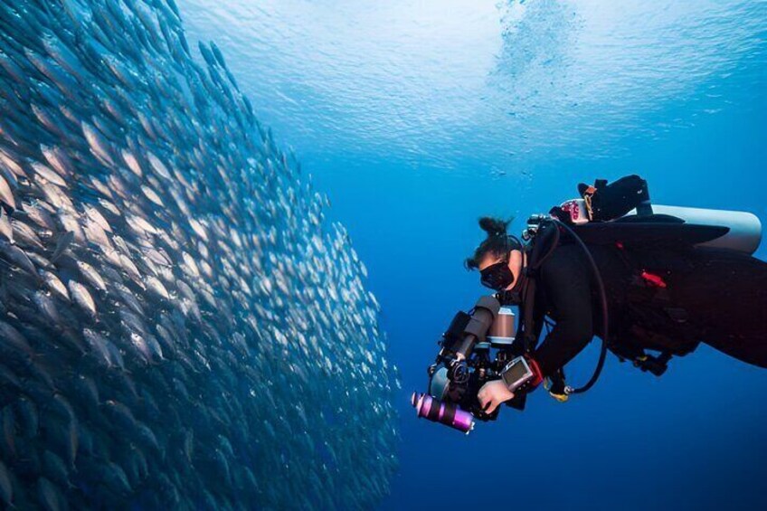 scuba diving for beginner in hurghada 1