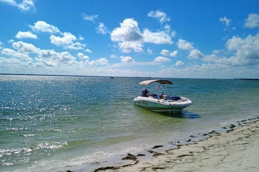 Private Clearwater boat tours with Captain Clearwater on Salt Therapy. USCG Master Captain, small groups, dolphins, sandbars, islands, and smooth sunset rides. Boat Like a Local. 5
