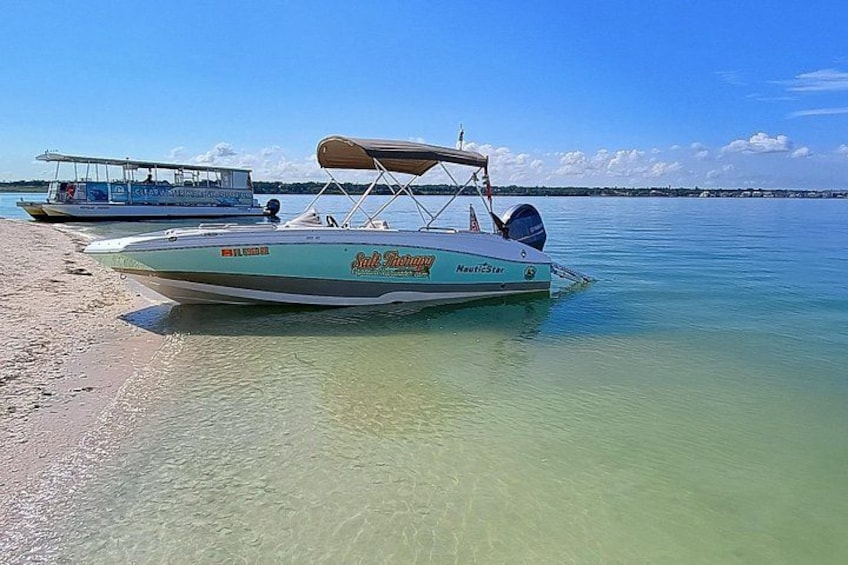 Private Clearwater boat tours with Captain Clearwater on Salt Therapy. USCG Master Captain, small groups, dolphins, sandbars, islands, and smooth sunset rides. Boat Like a Local. 2