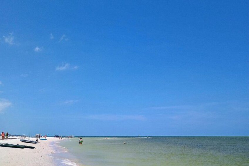 Private Clearwater boat tours with Captain Clearwater on Salt Therapy. USCG Master Captain, small groups, dolphins, sandbars, islands, and smooth sunset rides. Boat Like a Local. 4