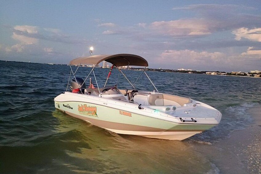 Private Clearwater boat tours with Captain Clearwater on Salt Therapy. USCG Master Captain, small groups, dolphins, sandbars, islands, and smooth sunset rides. Boat Like a Local. 4
