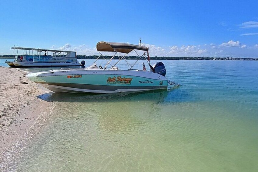 Private Clearwater boat tours with Captain Clearwater on Salt Therapy. USCG Master Captain, small groups, dolphins, sandbars, islands, and smooth sunset rides. Boat Like a Local. 4