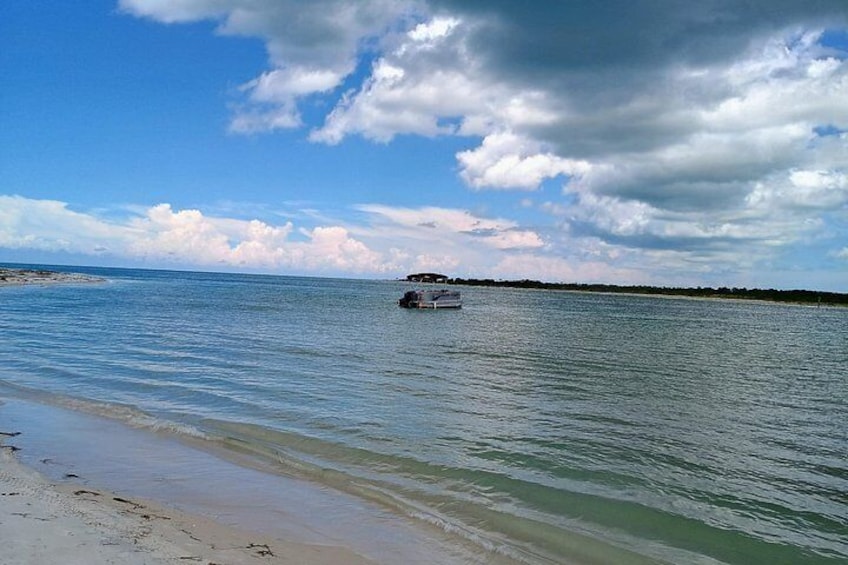 Private Clearwater boat tours with Captain Clearwater on Salt Therapy. USCG Master Captain, small groups, dolphins, sandbars, islands, and smooth sunset rides. Boat Like a Local. 4