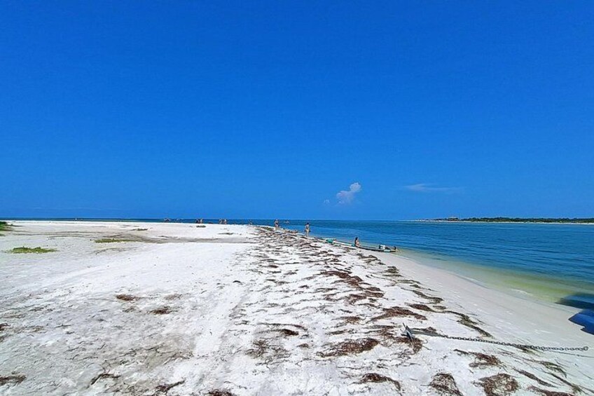 Private Clearwater boat tours with Captain Clearwater on Salt Therapy. USCG Master Captain, small groups, dolphins, sandbars, islands, and smooth sunset rides. Boat Like a Local. 3