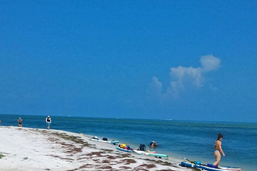 Private Clearwater boat tours with Captain Clearwater on Salt Therapy. USCG Master Captain, small groups, dolphins, sandbars, islands, and smooth sunset rides. Boat Like a Local. 5