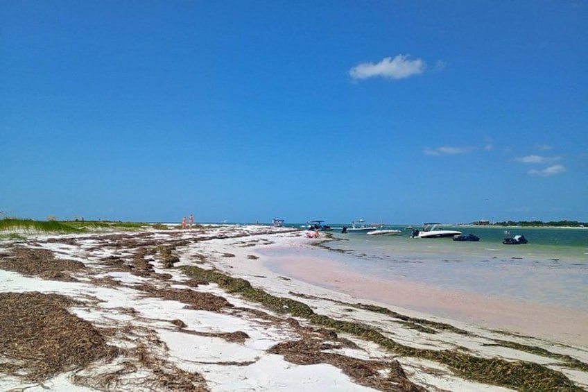 Experience dolphins, sandbars, and sunsets on a private Clearwater boat tour with Captain Clearwater. 1