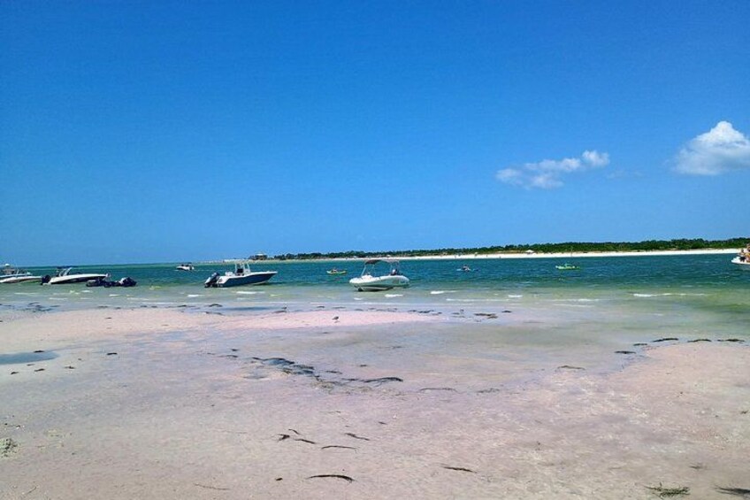 Experience dolphins, sandbars, and sunsets on a private Clearwater boat tour with Captain Clearwater. 2