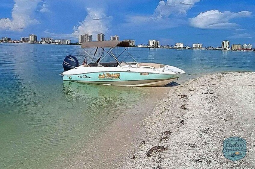 Experience dolphins, sandbars, and sunsets on a private Clearwater boat tour with Captain Clearwater. 5