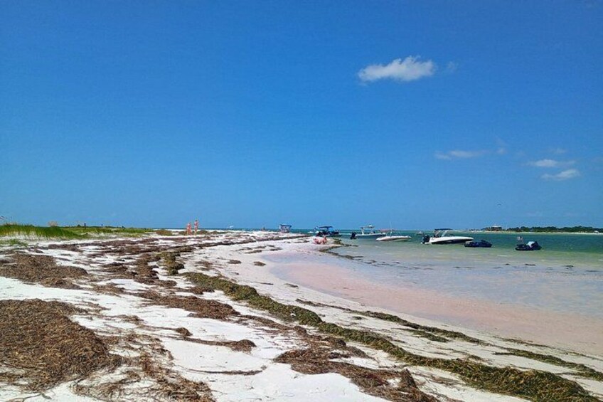 Experience dolphins, sandbars, and sunsets on a private Clearwater boat tour with Captain Clearwater. 2