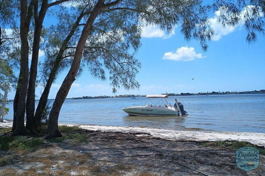 Een boot op een kalm meer, omgeven door bomen en een heldere lucht. 2