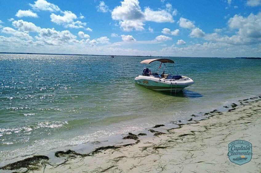 Relax aboard Salt Therapy with Captain Clearwater — a private cruise through the Gulf Coast’s scenic waters 3