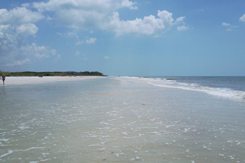 3-Hour Private Clearwater Beach Adventure – Dolphins & Sandbars 3