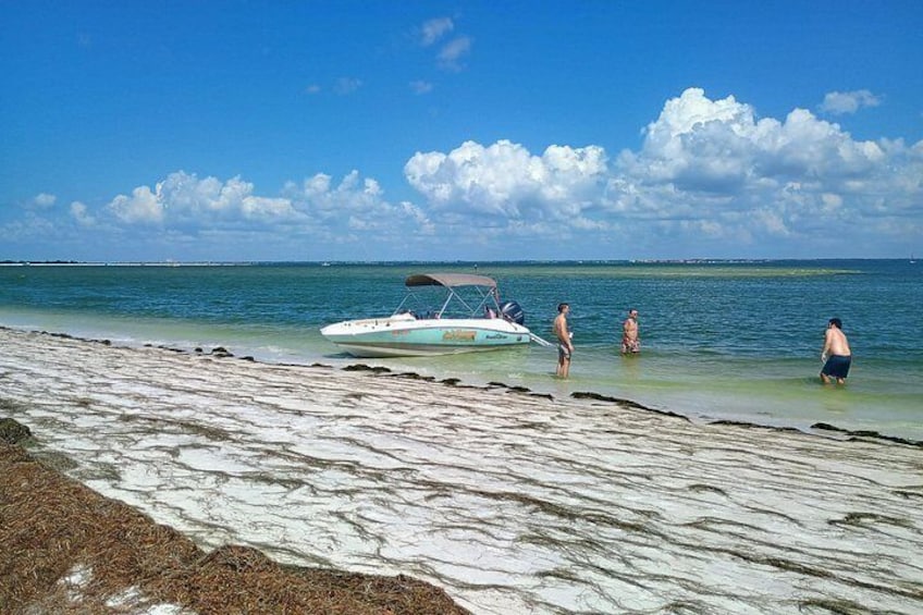 Experience dolphins, sandbars, and sunsets on a private Clearwater boat tour with Captain Clearwater. 2