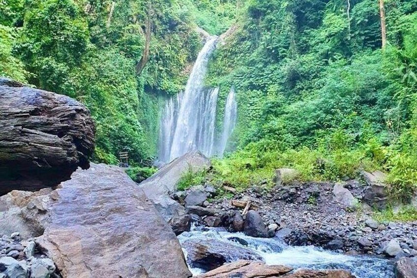 A waterfall surrounded by lush greenery and rocks. 5