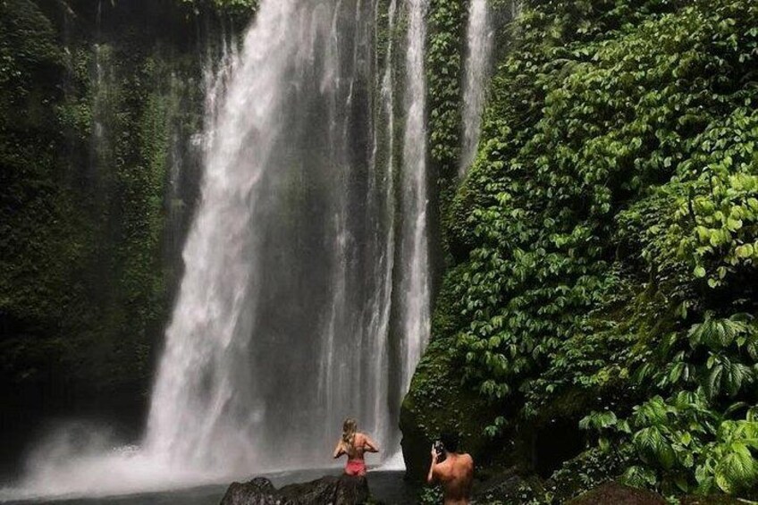 A waterfall surrounded by dense green foliage. 2