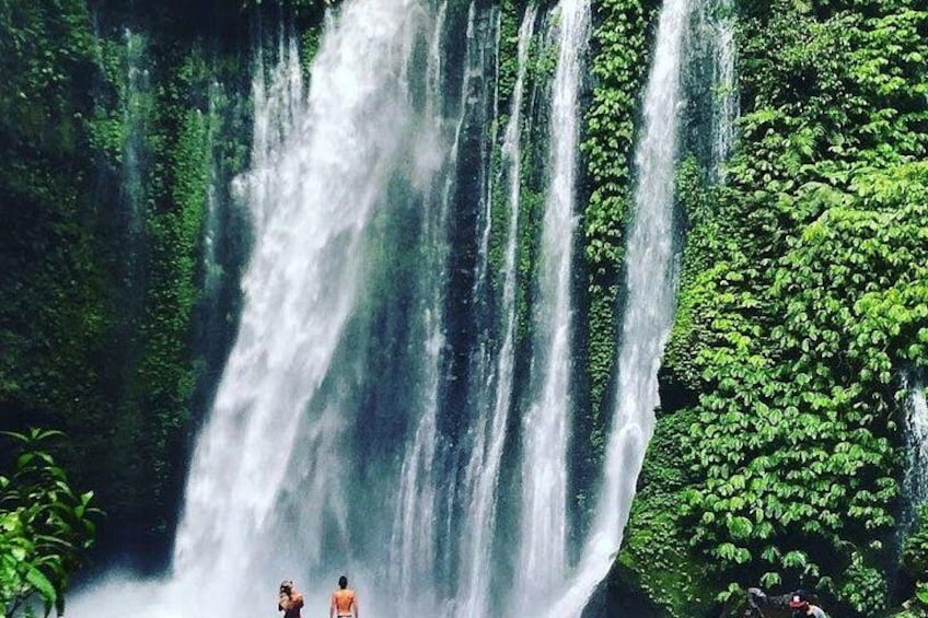 A waterfall surrounded by lush greenery. 3