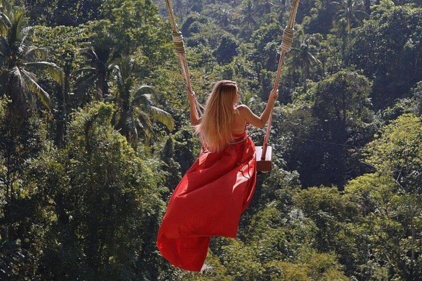 Bali Swing, Monkey Forest and Waterfall - Private Tour 4