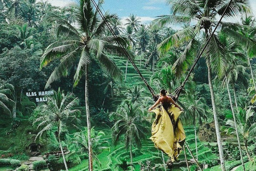 Bali Swing, Monkey Forest and Waterfall - Private Tour 1