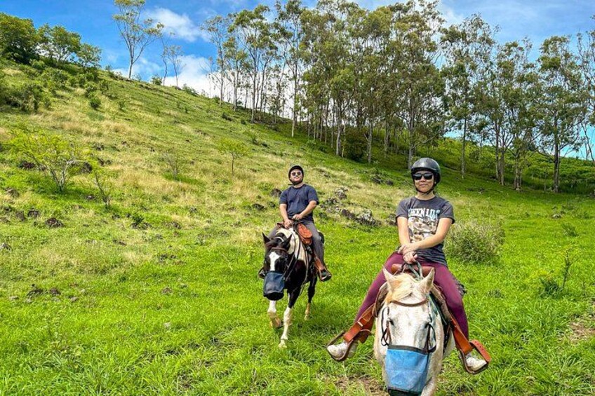 Afternoon Mountain Vista Horseback Trail Ride on Oahu 2