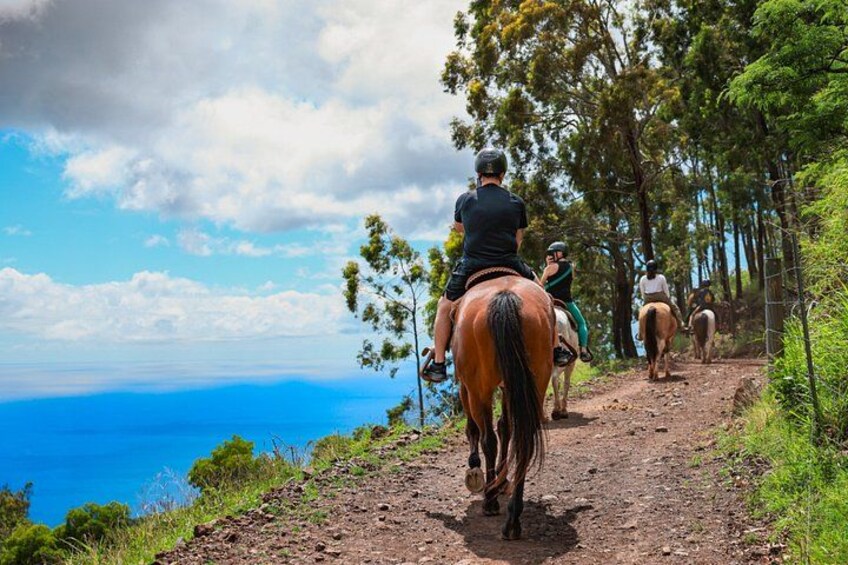 Afternoon Mountain Vista Horseback Trail Ride on Oahu 3