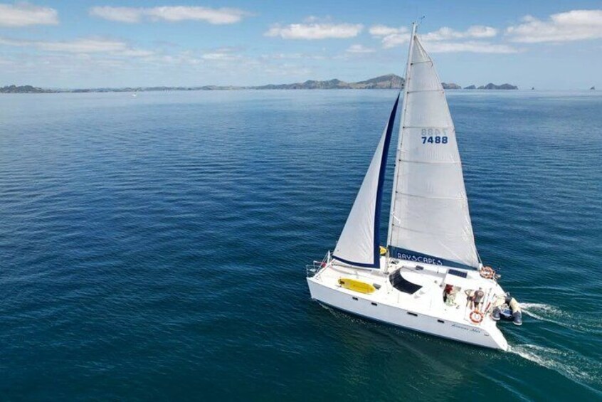 Un velero con el número 7488 en su vela, navegando sobre un mar tranquilo con tierra a lo lejos. 3