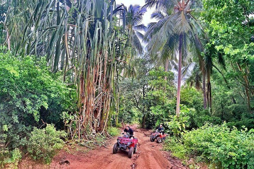 Un camino de tierra con dos vehículos todoterreno, rodeado de densa vegetación tropical y palmeras. 5