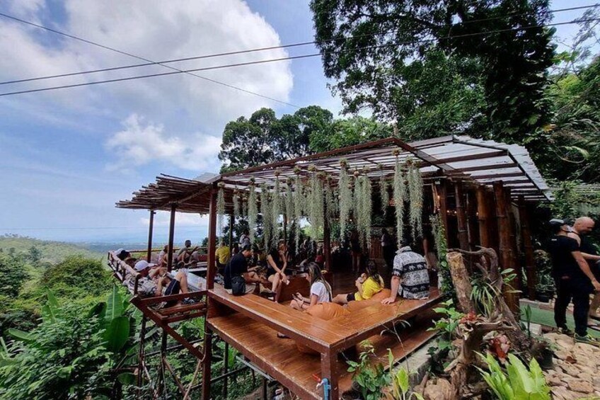 Una estructura de madera con techo, rodeada de vegetación exuberante y árboles. 3