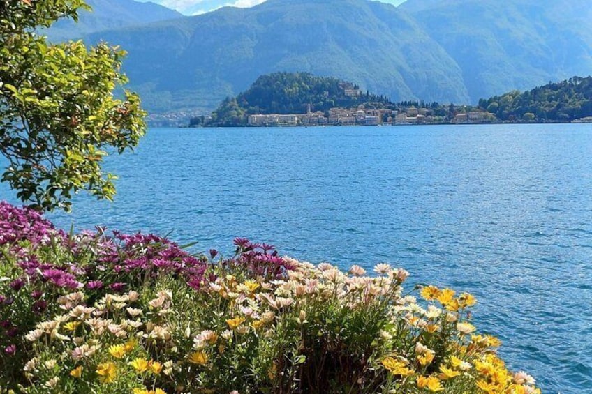 A lake with mountains in the background and colorful flowers in the foreground. 5
