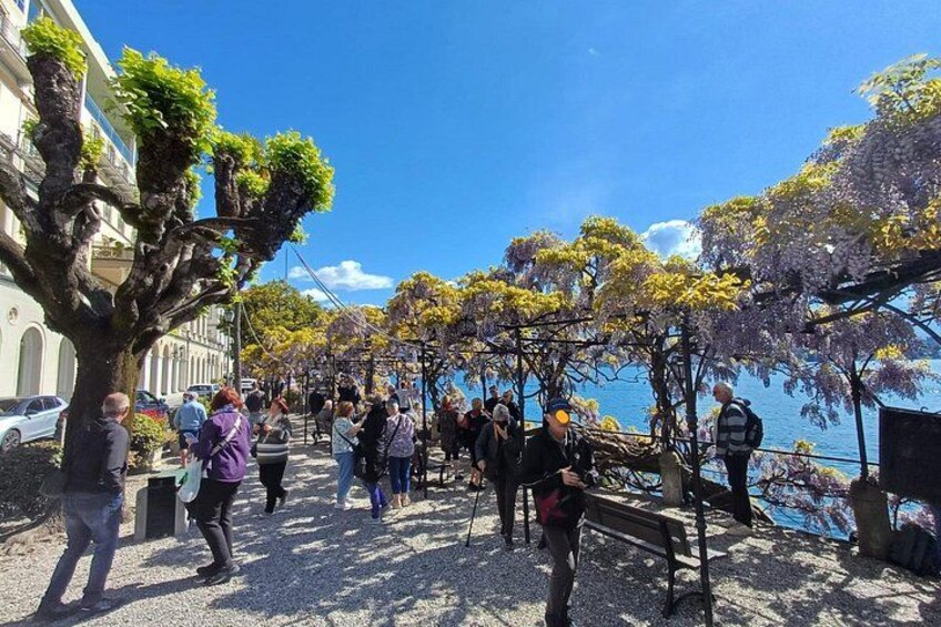 Lake Como: Bellagio and Varenna Day Trip From Milan 2