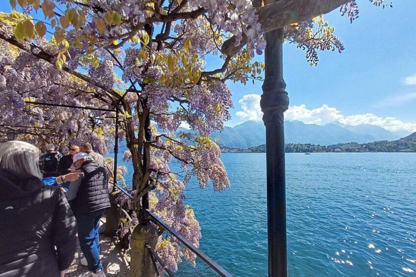 Lake Como: Bellagio and Varenna Day Trip From Milan 4