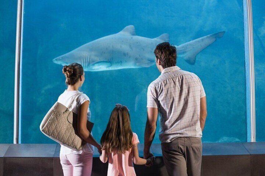 Istanbul Aquarium Admission with Transfers 1