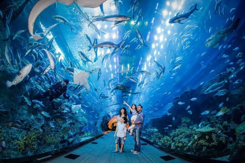 Istanbul Aquarium Admission with Transfers 2