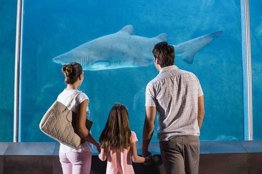 Istanbul Aquarium Admission with Transfers 4