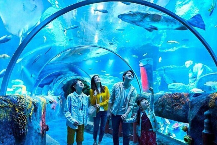 Istanbul Aquarium Admission with Transfers 3