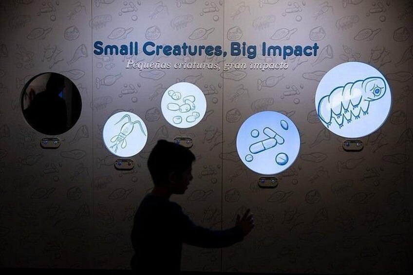 New York Citys Only Hands on Science Center 2