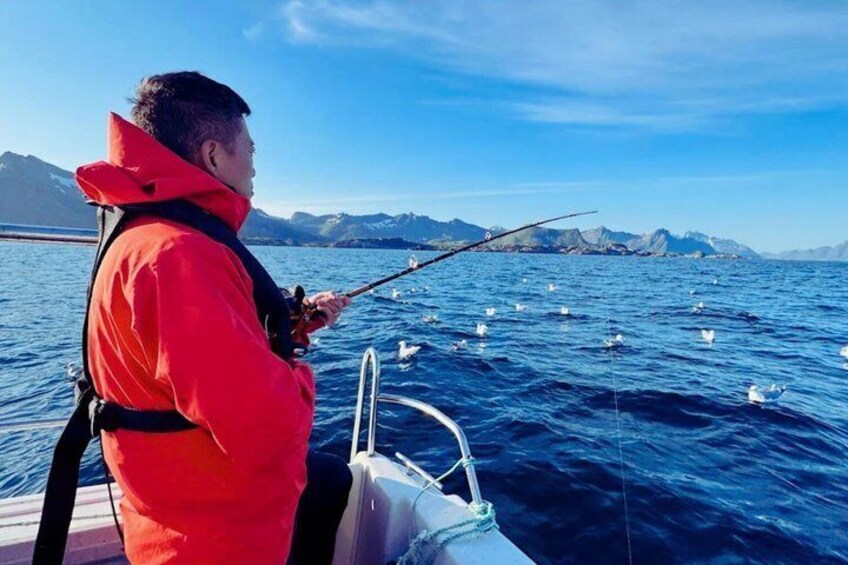 Authentic Sea Fishing Adventure in Lofoten 4